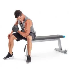 Proform Carbon Strength Flat Bench In Stock