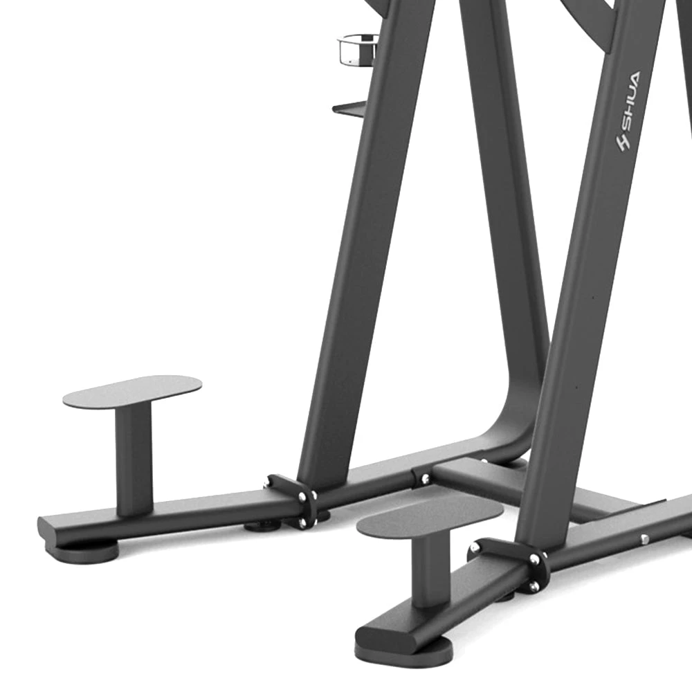 SHUA Chin Dip Leg Raise Strength