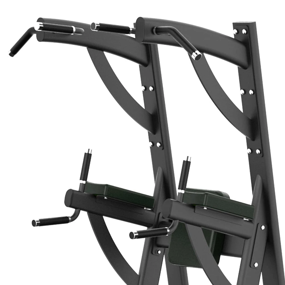 SHUA Chin Dip Leg Raise Strength