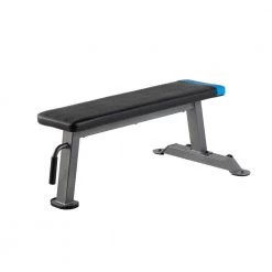 Proform Carbon Strength Flat Bench In Stock