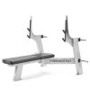 Freemotion Olympic Flat Bench
