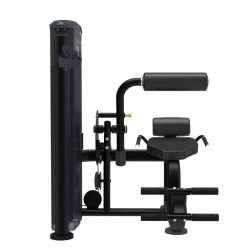 Strength Impulse Back Extension 200lb Stack