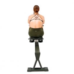 Cardio Horizon Air Rowing Machine