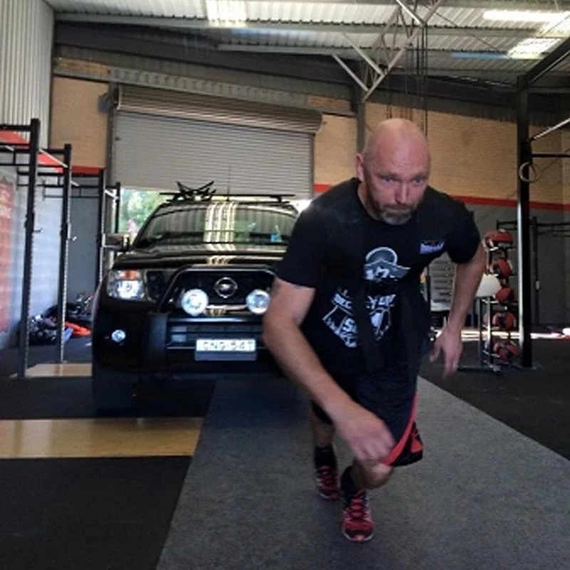 In Stock Morgan Elite H-Harness