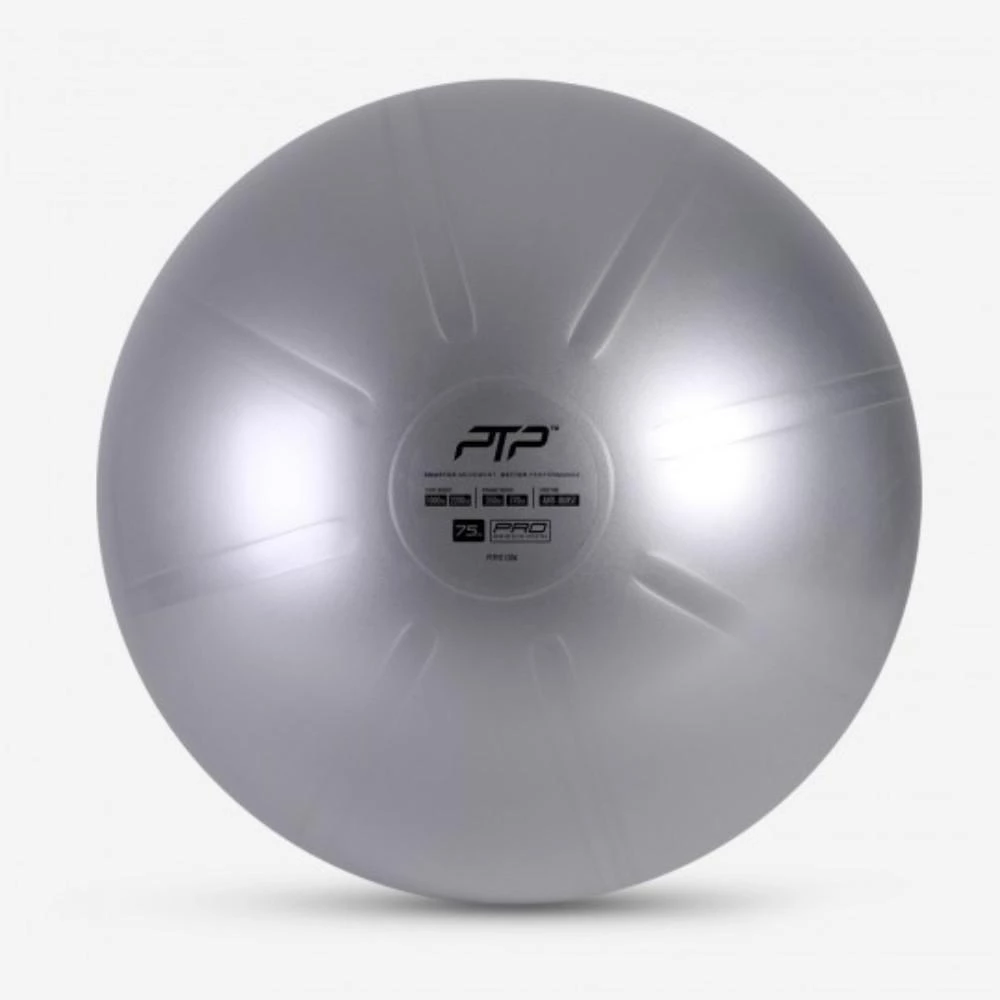 In Stock PTP Coreball - 75 CM | Steel Grey