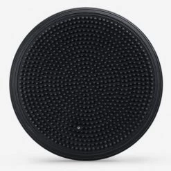 Resistance Training PTP Stability Disc